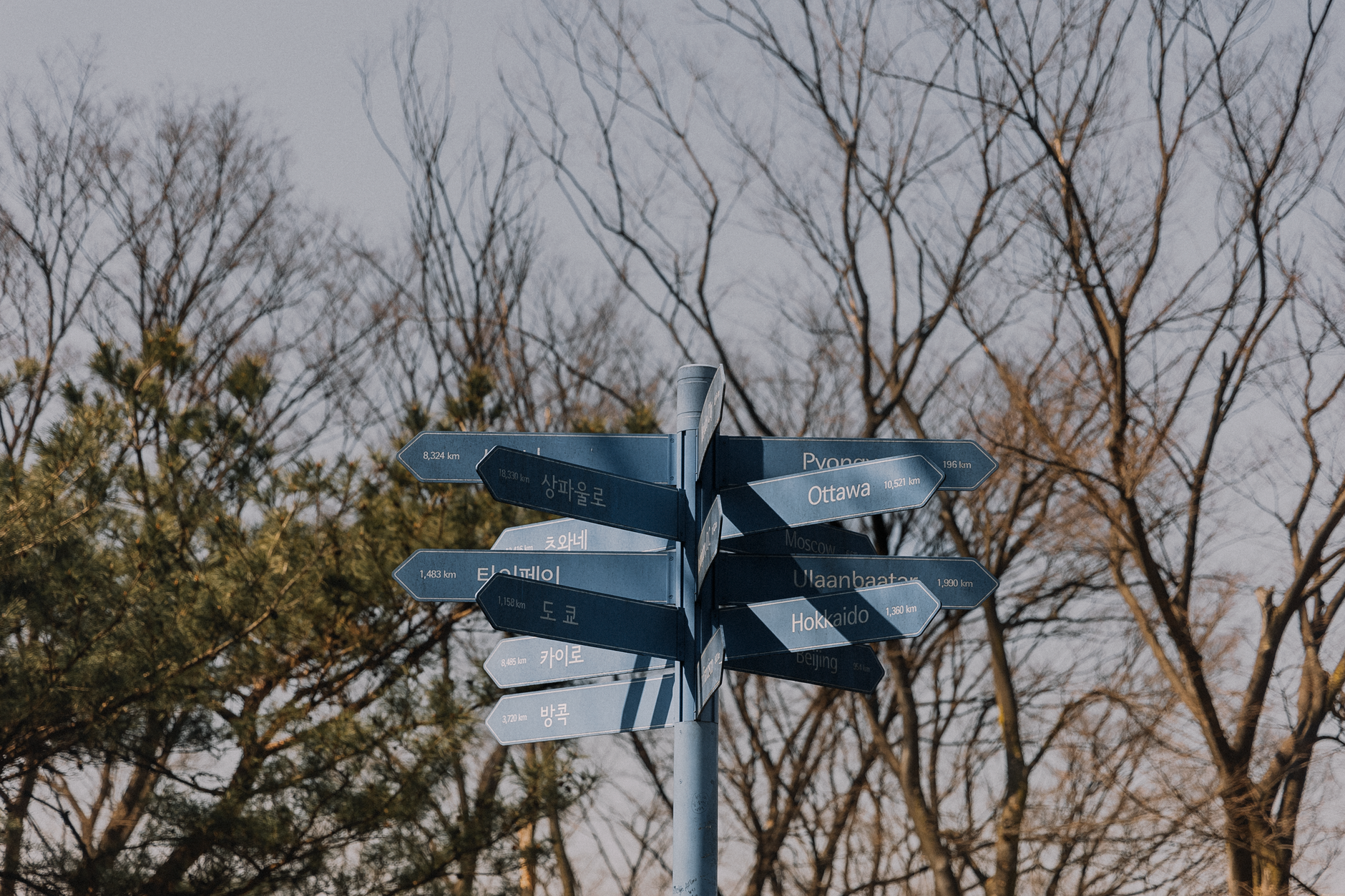 A directional signpost stands amidst barren trees in a serene autumn setting.